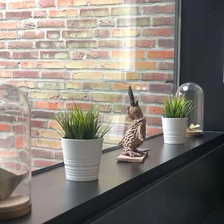 Hedendaags, Verzorgd Op Unieke Locatie Ostend